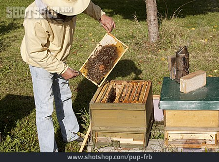 
                Bienenzucht, Imker, Imkerei                   
