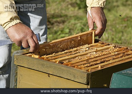 
                Bienenstock, Bienenzucht, Imkerei                   