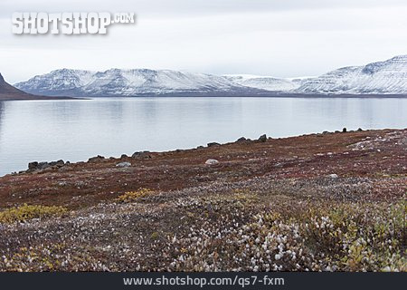 
                Arktis, Grönland                   