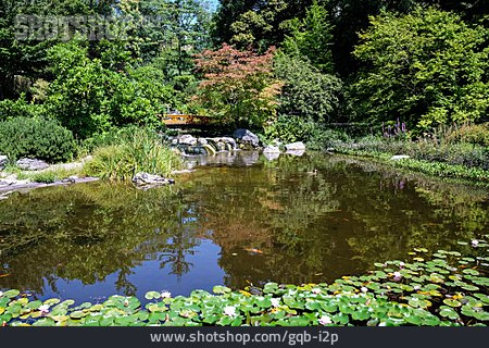 
                Garten, Teich, Japanischer Garten                   