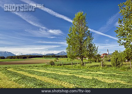 
                Feld, Landwirtschaft, Oberbayern, Saaldorf                   