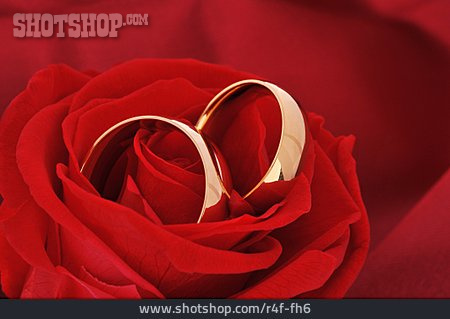 
                Liebe, Hochzeit, Ring, Ehering                   