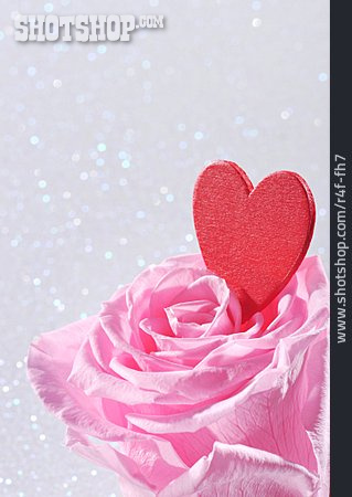 
                Liebe, Rose, Herz, Valentinstag                   