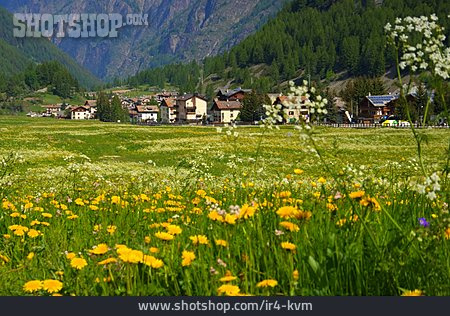 
                Alpen, Italien, Aostatal, Cogne                   