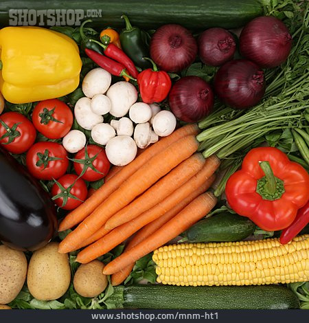 
                Gemüse, Bio, Vegetarisch                   