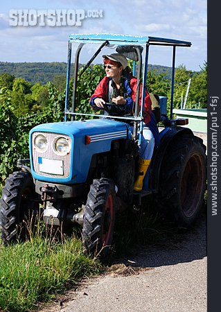 
                Traktor, Weinlese                   