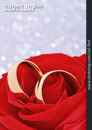 
                Wedding Ring, Engagement                   