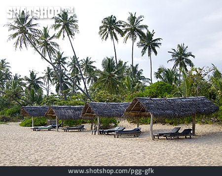 
                Palmenstrand, Sri Lanka, Strandurlaub                   