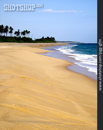 
                Sri Lanka, Sandstrand                   
