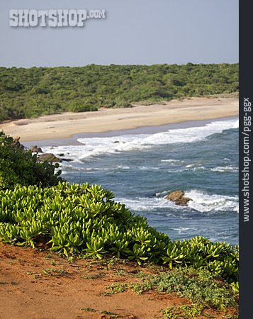 
                Strand, Sri Lanka, Indischer Ozean                   