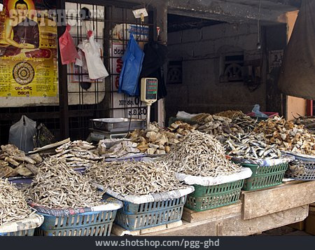 
                Marktstand, Sri Lanka, Trockenfisch, Fischstand                   