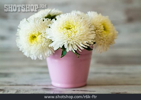 
                Blumenstrauß, Chrysantheme                   