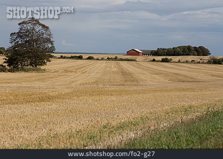 
                Feld, Landwirtschaft                   