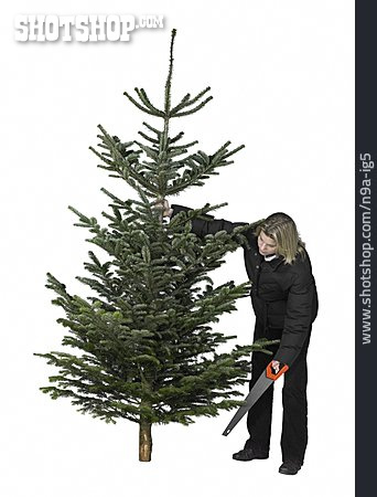
                Frau, Tannenbaum, Weihnachtsbaum                   