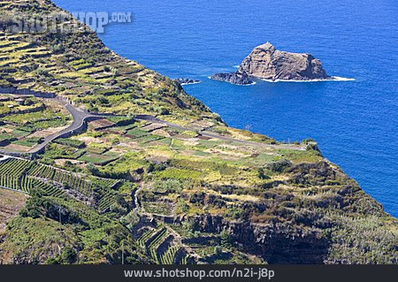 
                Küste, Landwirtschaft, Anbau, Madeira                   