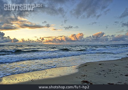 
                Beach, Baltic Sea Coast, Stenshuvud National Park                   