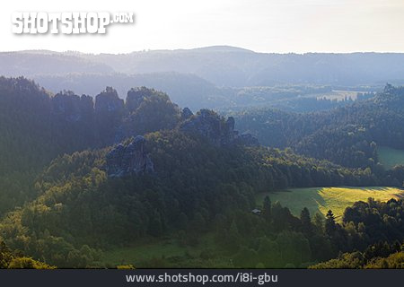 
                Wald, Sachsen, Elbsandsteingebirge                   