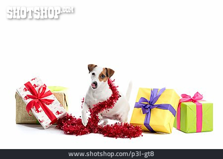 
                Weihnachten, Hund, Geschenk                   