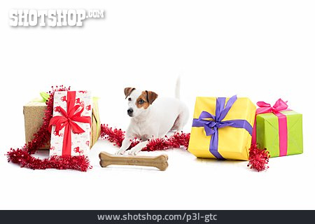 
                Weihnachten, Hund, Geschenk                   