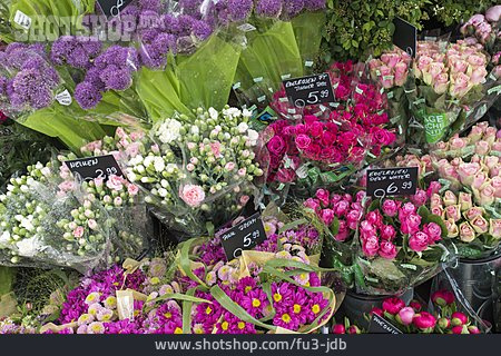 
                Schnittblume, Blumenverkauf                   