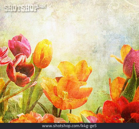 
                Tulpe, Gemälde                   