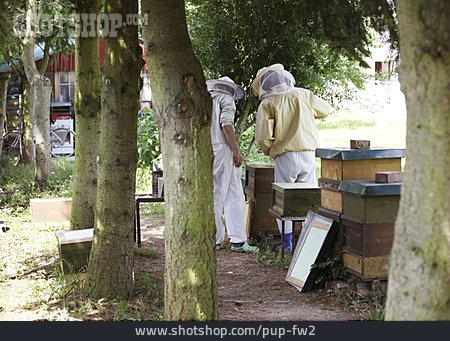 
                Bienenzucht, Imker, Imkerei                   