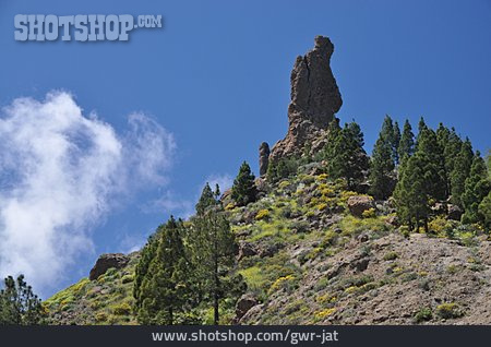 
                Fels, Gran Canaria, El Fraile                   