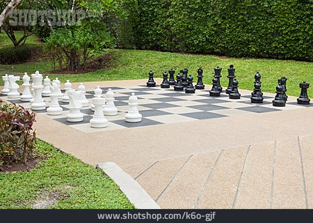 
                Chess, Chessmen                   