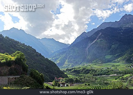 
                Landschaft, Südtirol, Vinschgau                   