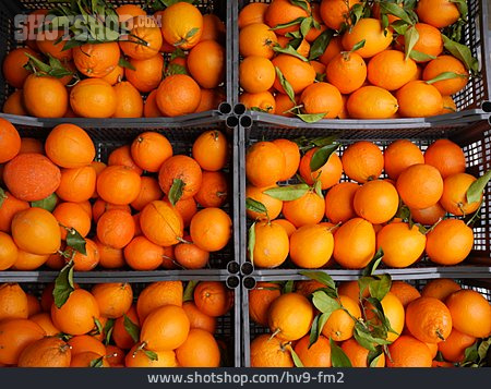 
                Apfelsinen, Wochenmarkt                   