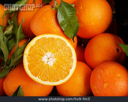 
                Orangen, Apfelsinen                   