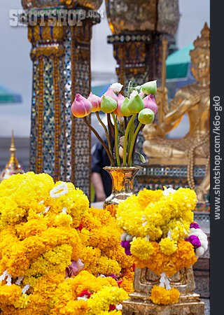 
                Blumen, Buddhismus, Bangkok, Erawan-schrein                   