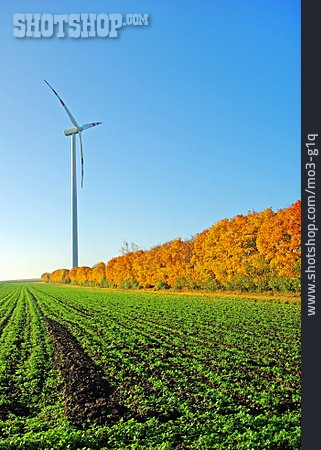 
                Alternative Energie, Windkraft                   