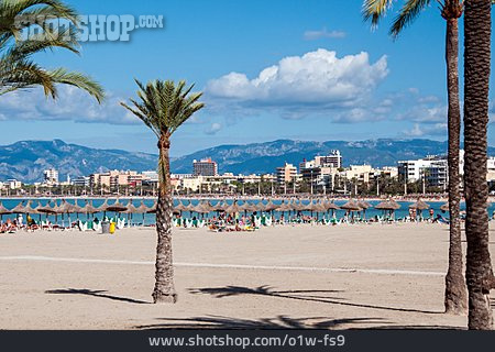 
                Strand, Mallorca, El Arenal                   