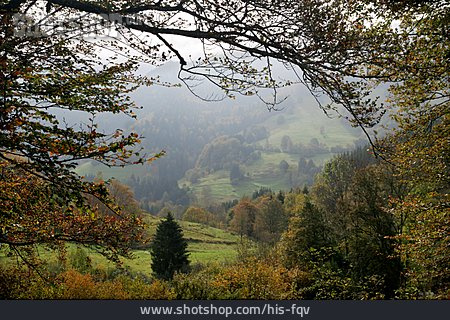 
                Landschaft, Natur, Schwarzwald                   