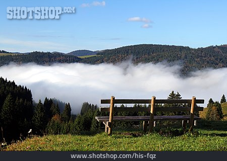 
                Nebel, Schwarzwald, Aussicht                   