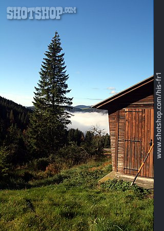 
                Schwarzwald, Hütte                   