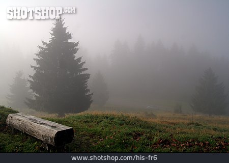 
                Nebel, Schwarzwald                   
