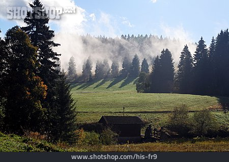 
                Schwarzwald                   