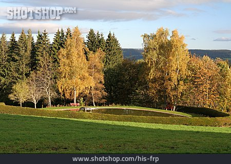 
                Herbst, Schwarzwald, Teich                   