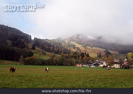 
                Dorf, Schwarzwald                   