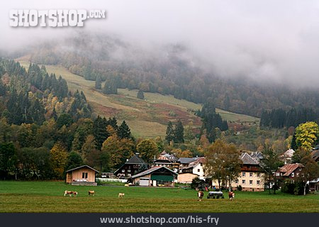 
                Dorf, Schwarzwald                   