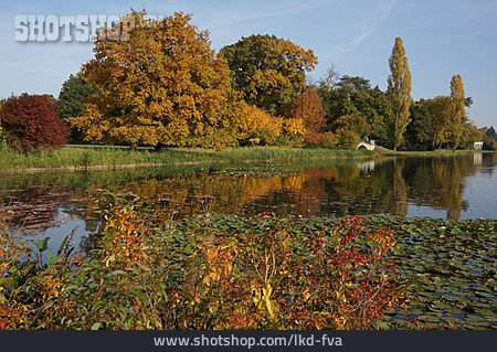 
                Herbst, Wörlitzer Park                   