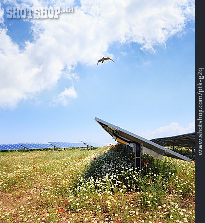 
                Sonnenenergie, Photovoltaikanlage                   