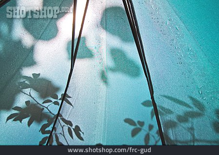 
                Blätter, Silhouette, Regenschirm                   