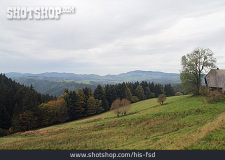 
                Schwarzwald, Südschwarzwald                   