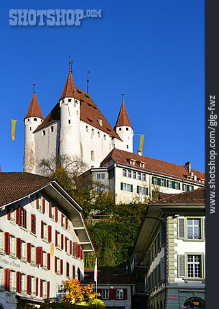 
                Thun, Schloss Thun                   