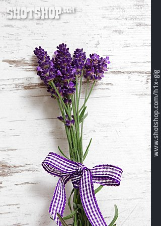 
                Schleife, Lavendel                   