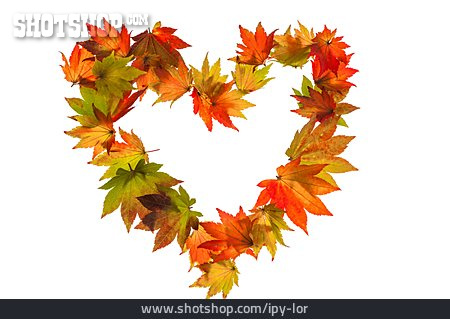 
                Herbstlaub, Herz, Ahornblatt                   
