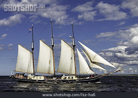 
                Segelschiff, Windjammer                   